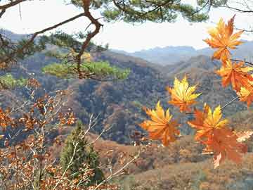 蓮池區(qū)楊莊鄉(xiāng)回遷規(guī)劃重磅更新，最新動(dòng)態(tài)一網(wǎng)打盡！