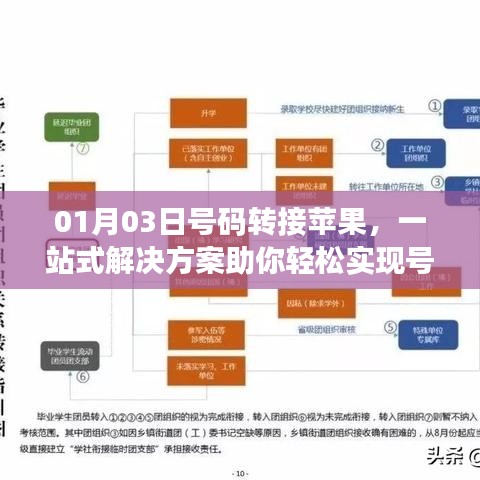 蘋(píng)果號(hào)碼轉(zhuǎn)移一站式解決方案，輕松實(shí)現(xiàn)轉(zhuǎn)接