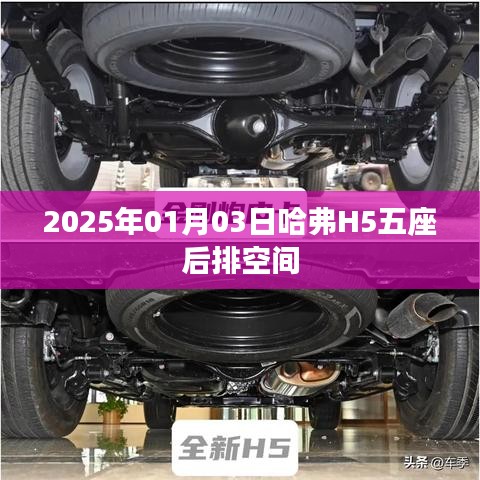 哈弗H5五座后排空間體驗與展望，2025年最新動態(tài)