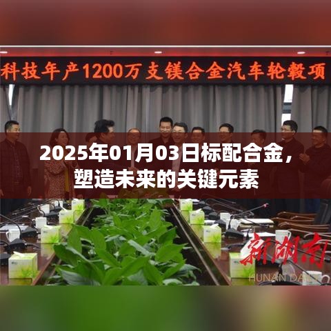 標(biāo)配合金，塑造未來關(guān)鍵元素，2025年展望