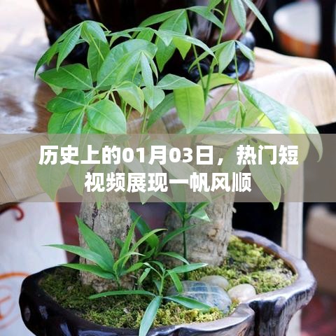 熱門短視頻展現(xiàn)，歷史一月三日一帆風(fēng)順時刻