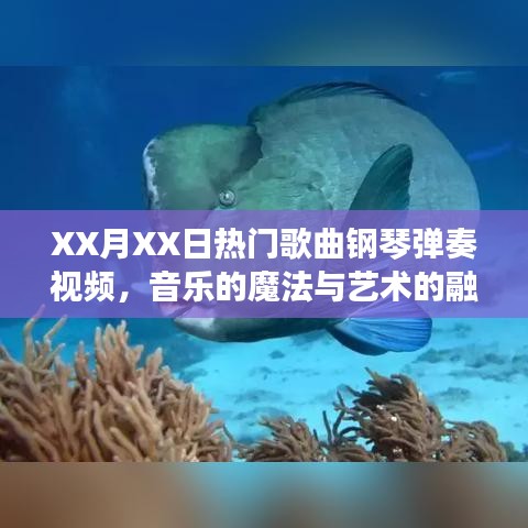 音樂的魔法與藝術(shù)融合，XX月XX日熱門歌曲鋼琴彈奏視頻欣賞