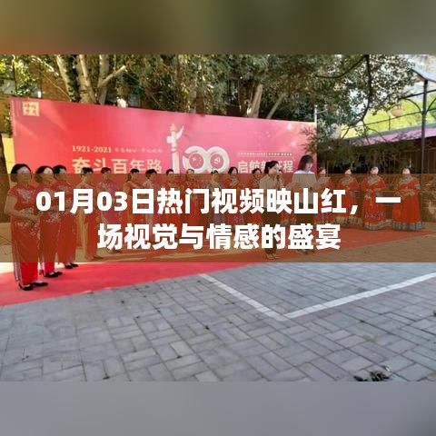 映山紅視覺盛宴，情感交織的熱門視頻