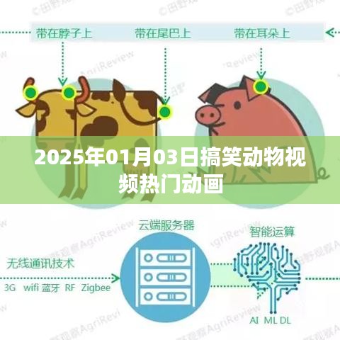 2025年搞笑動物視頻盛宴，熱門動畫歡樂來襲