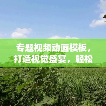 專題視頻動(dòng)畫(huà)模板，打造視覺(jué)盛宴，輕松吸引眼球！