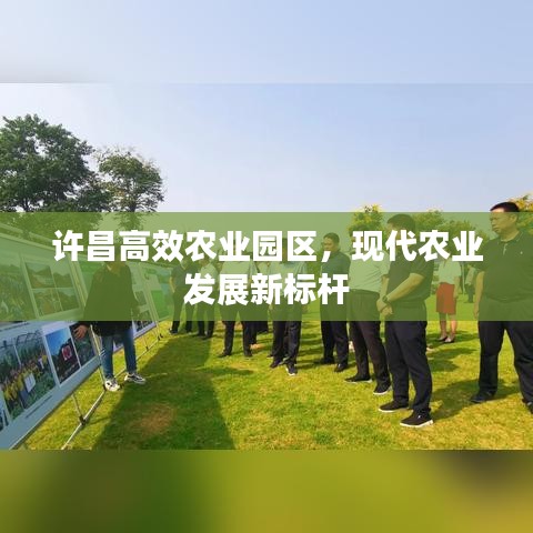 許昌高效農(nóng)業(yè)園區(qū)，現(xiàn)代農(nóng)業(yè)發(fā)展新標(biāo)桿