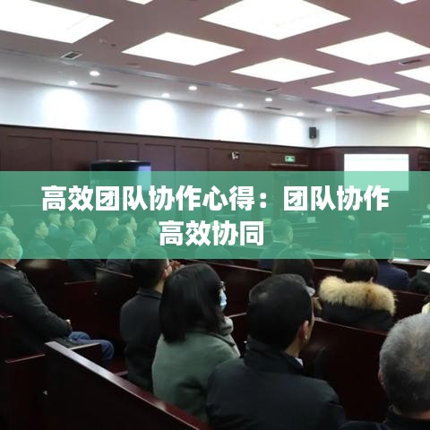 高效團(tuán)隊協(xié)作心得：團(tuán)隊協(xié)作高效協(xié)同 