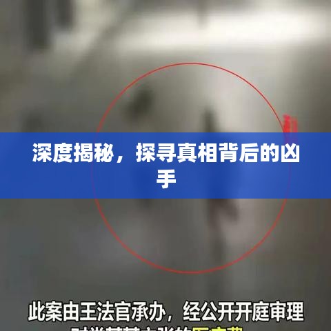 深度揭秘，探尋真相背后的兇手