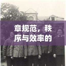 章規(guī)范，秩序與效率的保障基石