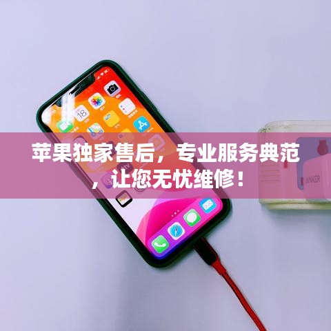 蘋果獨(dú)家售后，專業(yè)服務(wù)典范，讓您無憂維修！