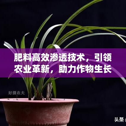 肥料高效滲透技術(shù)，引領(lǐng)農(nóng)業(yè)革新，助力作物生長(zhǎng)新動(dòng)力