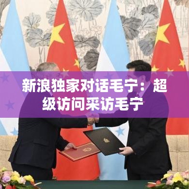 新浪獨(dú)家對(duì)話毛寧：超級(jí)訪問采訪毛寧 