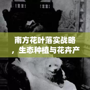 南方花葉落實(shí)戰(zhàn)略，生態(tài)種植與花卉產(chǎn)業(yè)繁榮之路