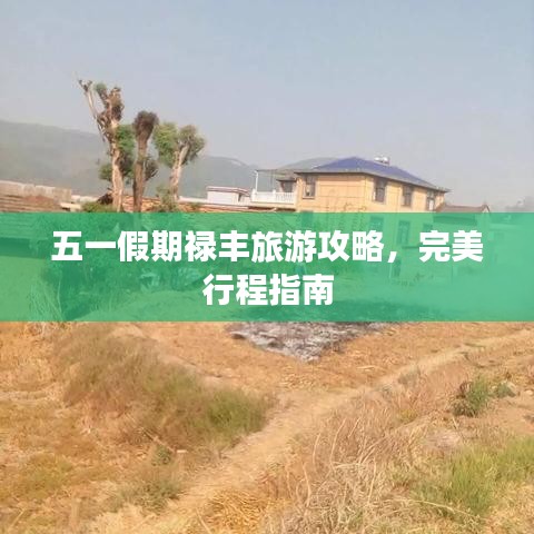 五一假期祿豐旅游攻略，完美行程指南