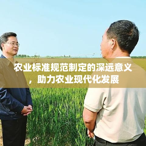 農(nóng)業(yè)標(biāo)準(zhǔn)規(guī)范制定的深遠(yuǎn)意義，助力農(nóng)業(yè)現(xiàn)代化發(fā)展