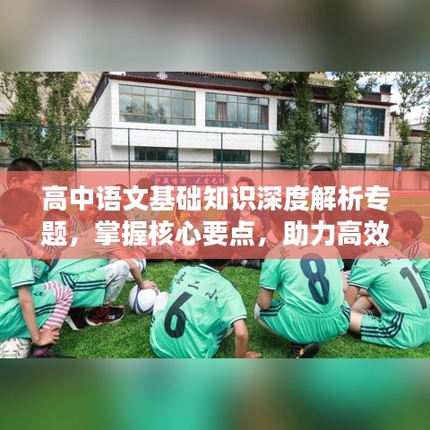 高中語文基礎(chǔ)知識深度解析專題，掌握核心要點(diǎn)，助力高效學(xué)習(xí)！