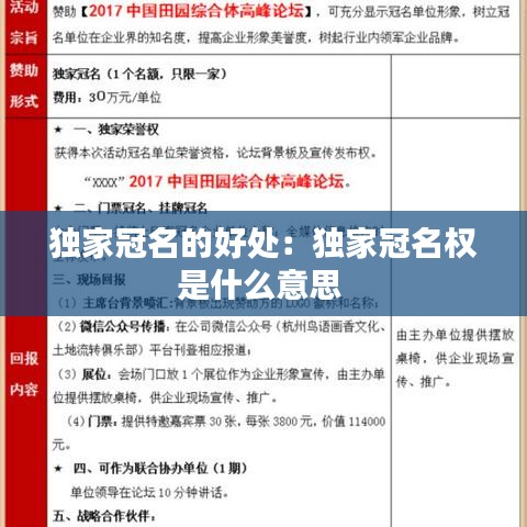 獨家冠名的好處：獨家冠名權是什么意思 
