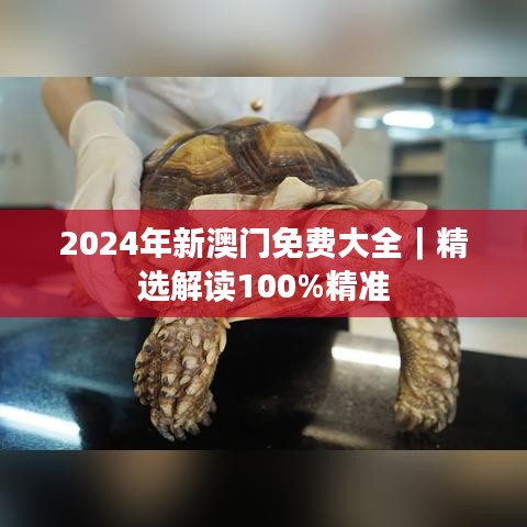 只爭(zhēng)朝夕 第3頁(yè)