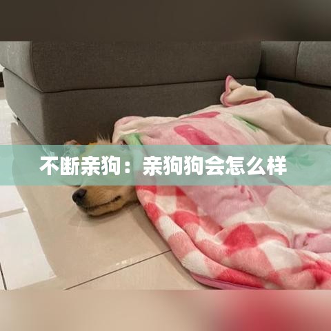 富貴逼人 第3頁