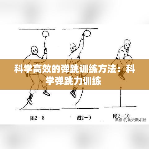 科學(xué)高效的彈跳訓(xùn)練方法：科學(xué)彈跳力訓(xùn)練 