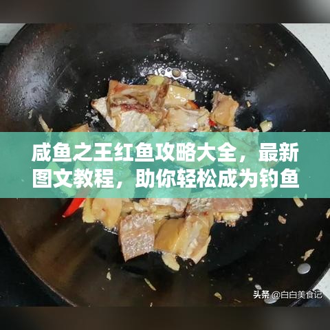 咸魚之王紅魚攻略大全，最新圖文教程，助你輕松成為釣魚達(dá)人！