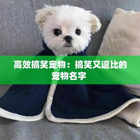量入為出 第2頁