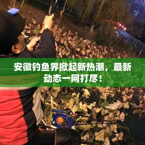 安徽釣魚界掀起新熱潮，最新動(dòng)態(tài)一網(wǎng)打盡！