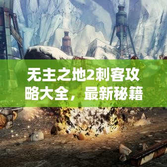無(wú)主之地2刺客攻略大全，最新秘籍與技巧