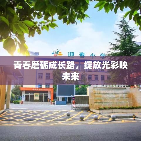 青春磨礪成長路，綻放光彩映未來