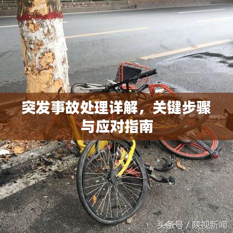 一花獨(dú)放 第3頁