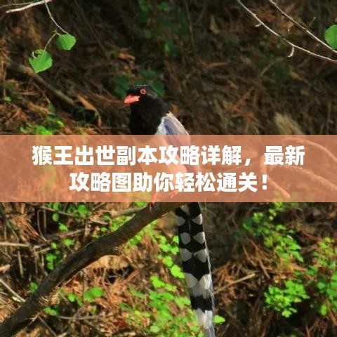 意氣風(fēng)發(fā) 第3頁