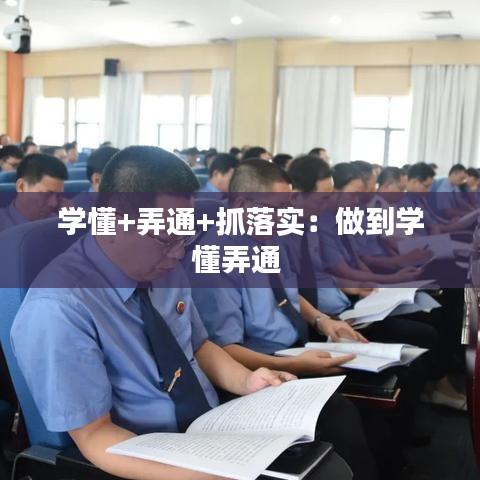 學懂+弄通+抓落實：做到學懂弄通 