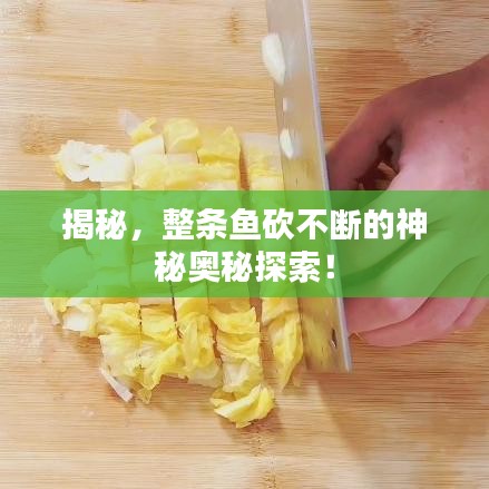 揭秘，整條魚砍不斷的神秘奧秘探索！
