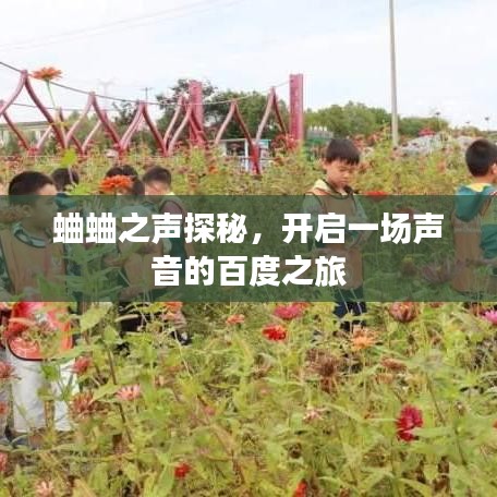 蛐蛐之聲探秘，開啟一場聲音的百度之旅