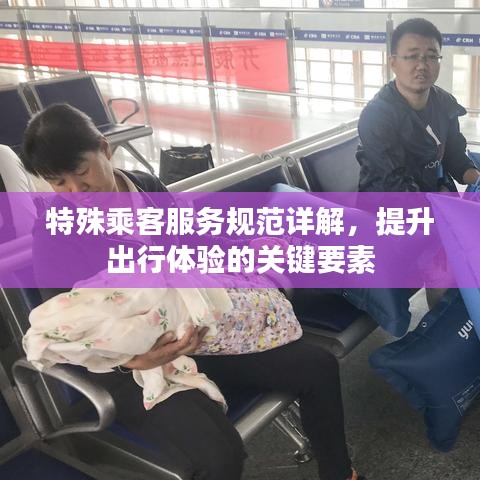 特殊乘客服務(wù)規(guī)范詳解，提升出行體驗的關(guān)鍵要素