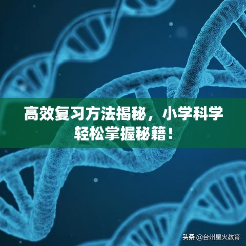 高效復(fù)習(xí)方法揭秘，小學(xué)科學(xué)輕松掌握秘籍！