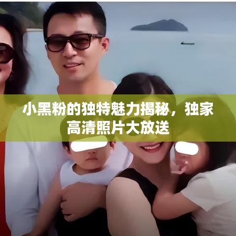 小黑粉的獨特魅力揭秘，獨家高清照片大放送