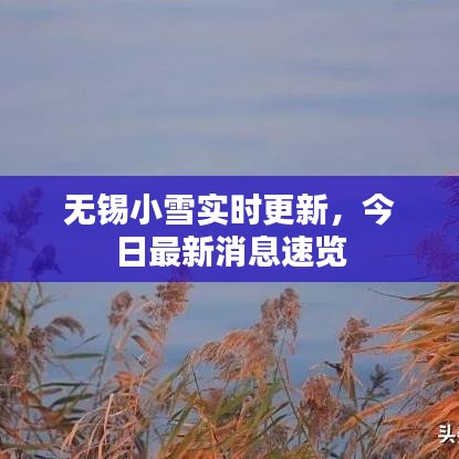 無錫小雪實(shí)時(shí)更新，今日最新消息速覽