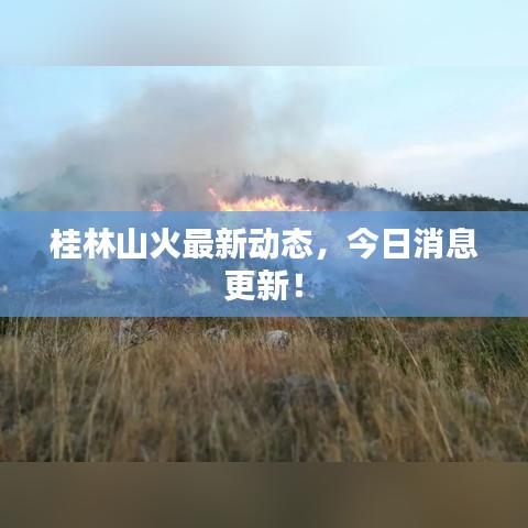 籠中之鳥 第2頁(yè)
