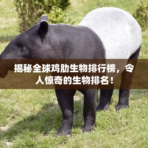 揭秘全球雞肋生物排行榜，令人驚奇的生物排名！