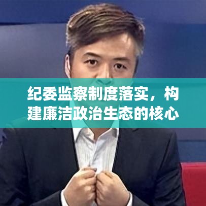 紀委監(jiān)察制度落實，構建廉潔政治生態(tài)的核心基石
