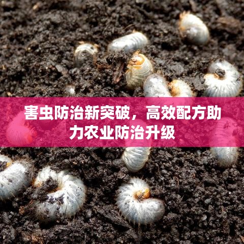 還醇返樸 第2頁