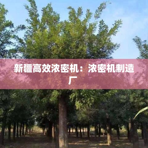 張弛不定 第2頁