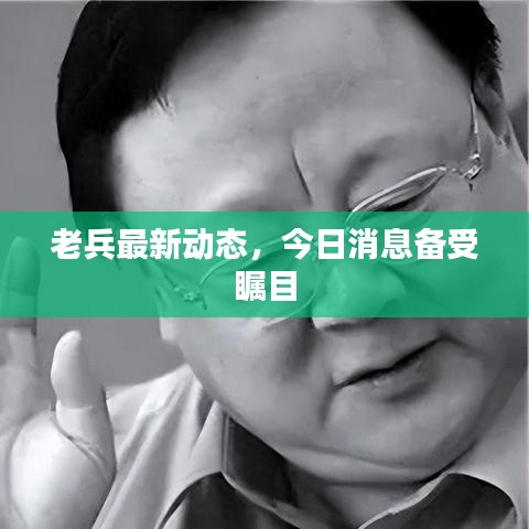 老兵最新動(dòng)態(tài)，今日消息備受矚目
