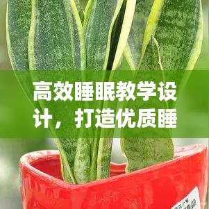高效睡眠教學(xué)設(shè)計(jì)，打造優(yōu)質(zhì)睡眠模式，提升身心健康質(zhì)量