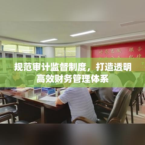 規(guī)范審計監(jiān)督制度，打造透明高效財務(wù)管理體系