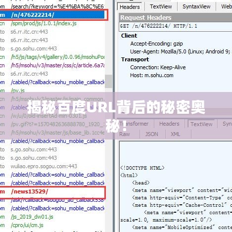 揭秘百度URL背后的秘密奧秘！