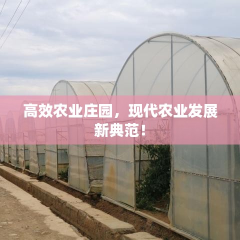 高效農(nóng)業(yè)莊園，現(xiàn)代農(nóng)業(yè)發(fā)展新典范！