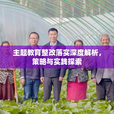 主題教育整改落實深度解析，策略與實踐探索