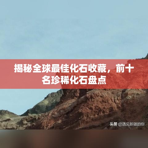 揭秘全球最佳化石收藏，前十名珍稀化石盤點(diǎn)